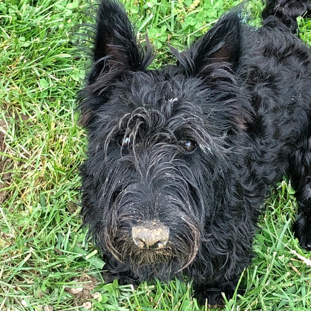 Meet your Posher, Mindy